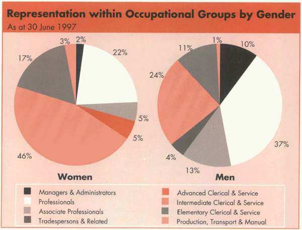 Graph Showing Representation within Occupational Groups by Gender
