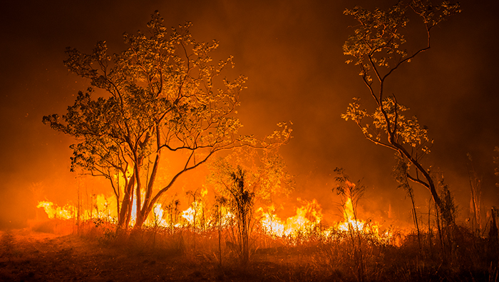 A bush fire burns through shrub land.