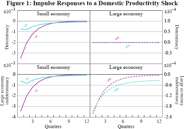 Figure 1: Impulse Responses to a Domestic Productivity Shock