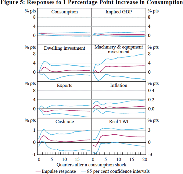 Figure 5: Responses to 1 Percentage Point Increase 
in Consumption