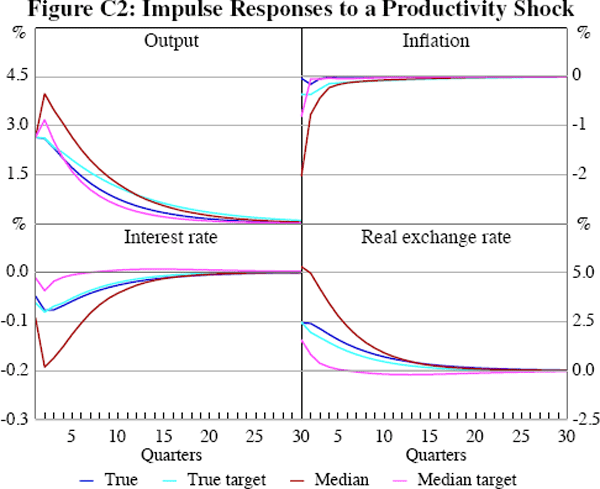 Figure C2: Impulse Responses to a Productivity Shock