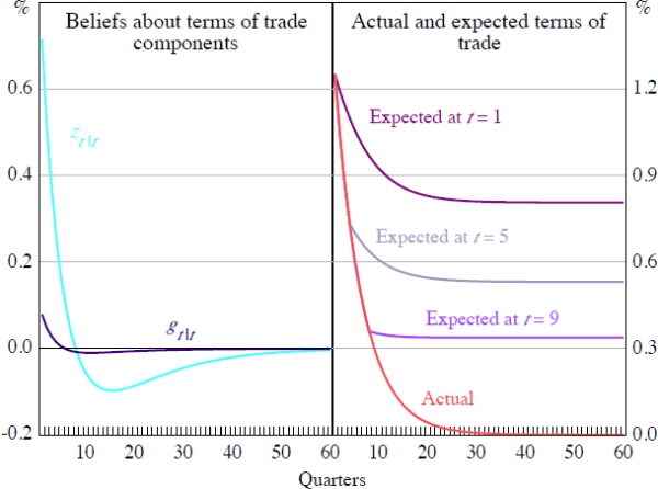 Figure 4: Beliefs Following Terms of Trade Shock
