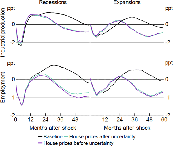 Figure B5: Role of House Prices